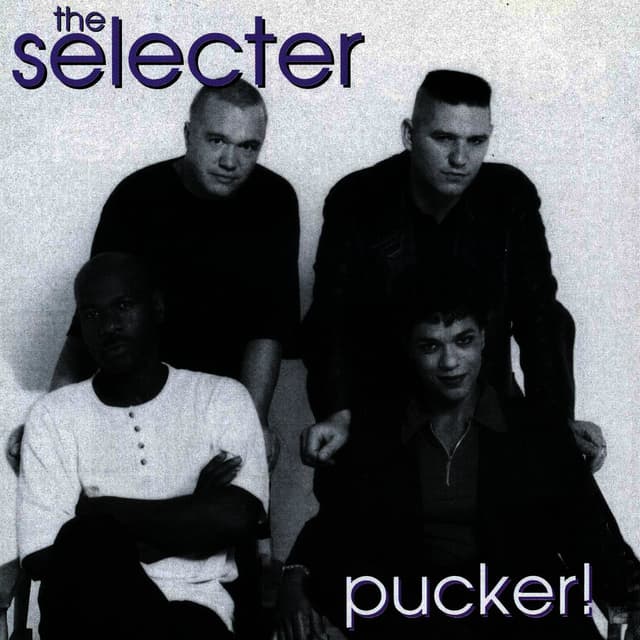 Album cover art for Pucker!