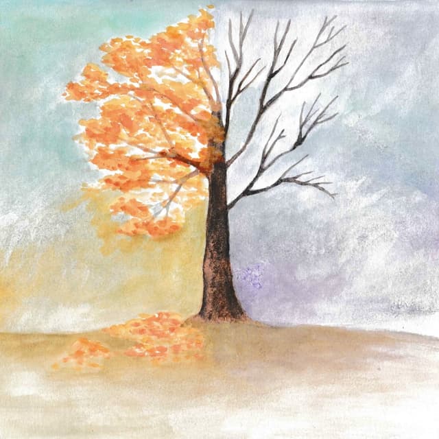 Album cover art for Terrified