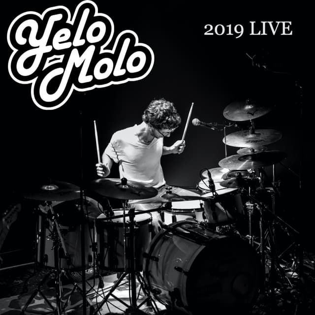 Album cover art for Live 2019