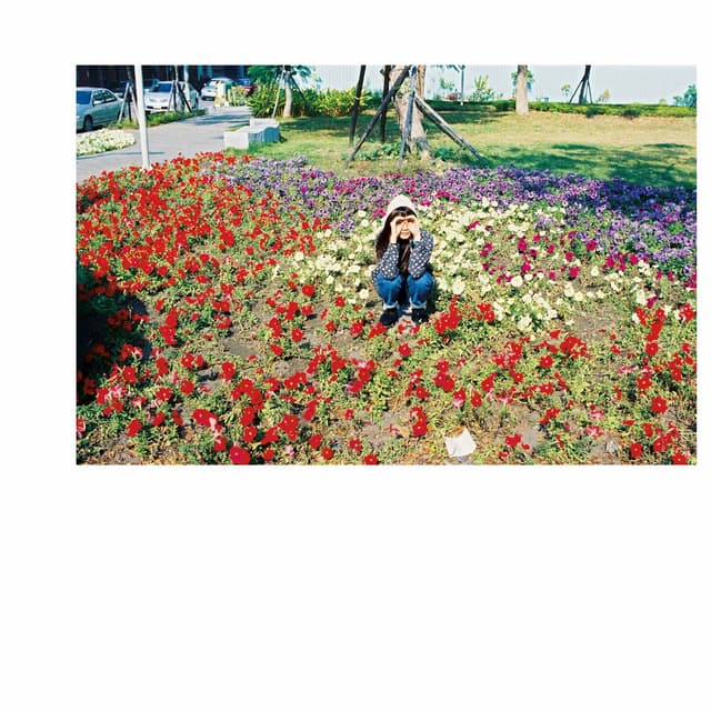 Album cover art for 光のなかに立っていてね