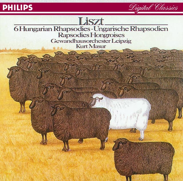 Album cover art for Liszt: Hungarian Rhapsodies