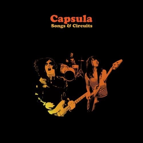 Album cover art for Songs & Circuits