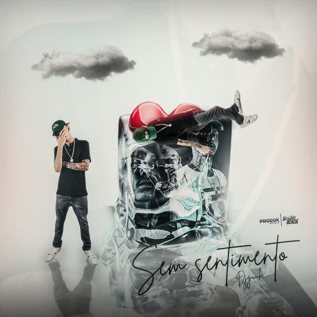 Album cover art for Sem Sentimento