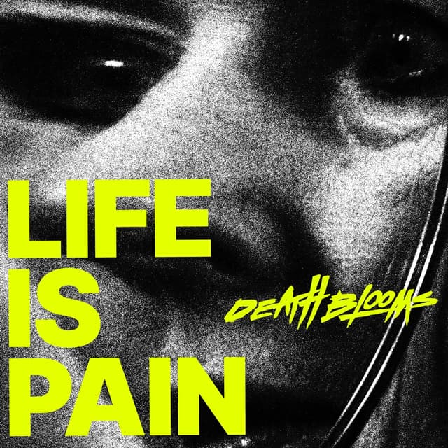 Album cover art for Life Is Pain