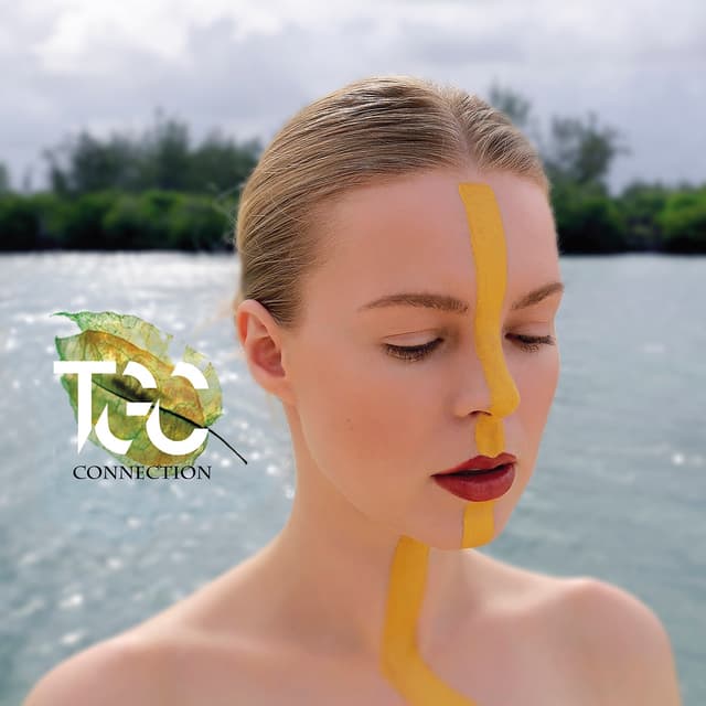 Album cover art for Connection