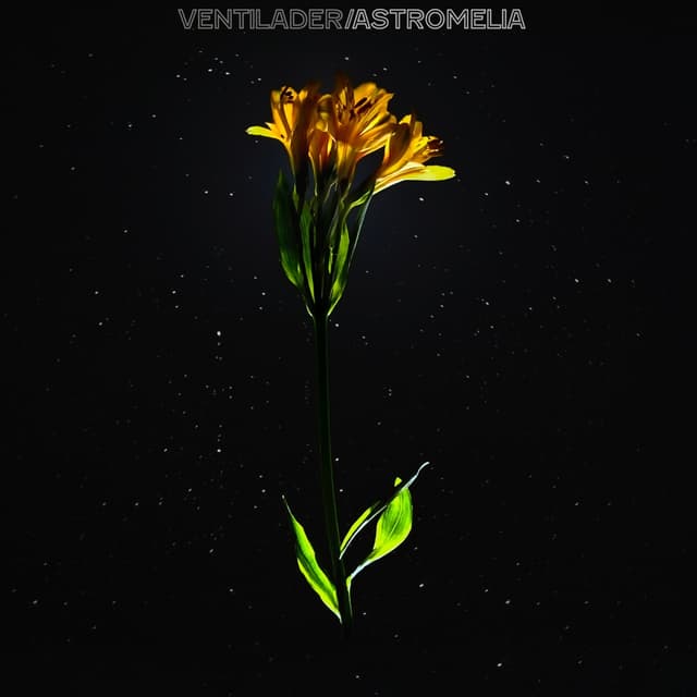 Album cover art for Astromelia