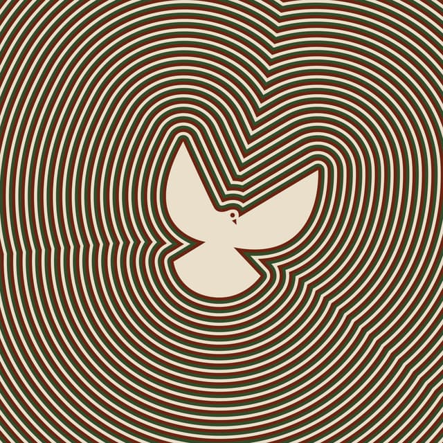 Album cover art for The Sounding Joy: Hiss Golden Messenger Meets Revelators on South Robinson Street