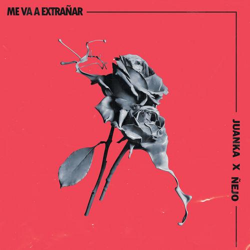 Album cover art for Me Va A Extrañar