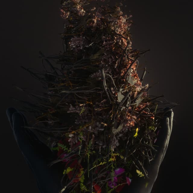 Album cover art for Something's Wrong: Reimagined