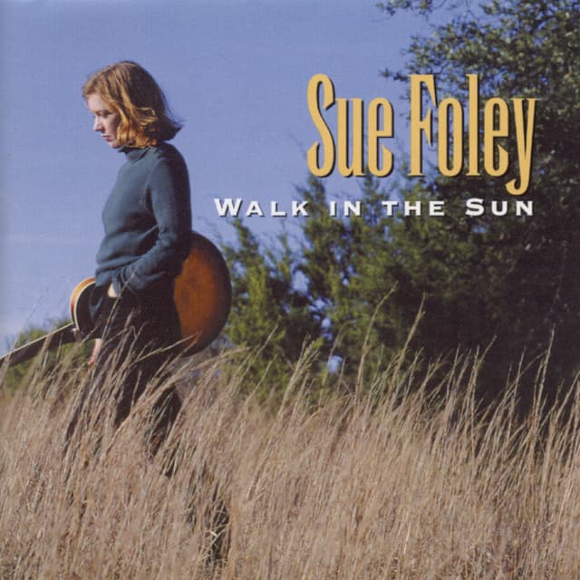 Album cover art for Walk in the Sun