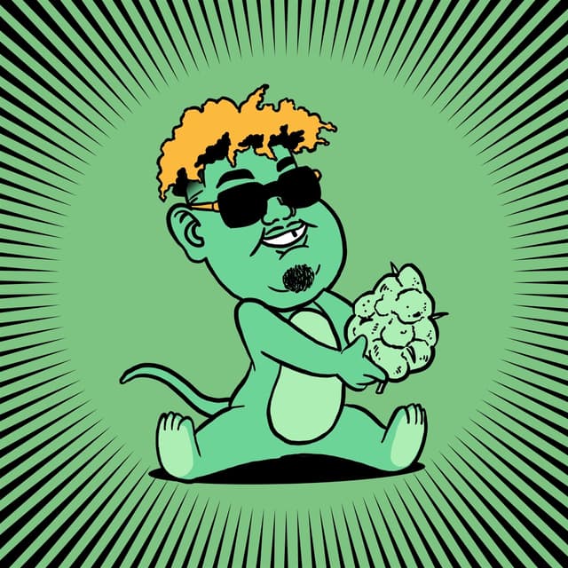 Album cover art for Souris verte