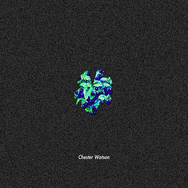 Album cover art for Guru, Vol. 2