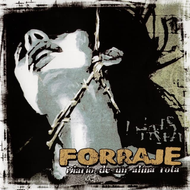 Album cover art for Diario de un alma rota