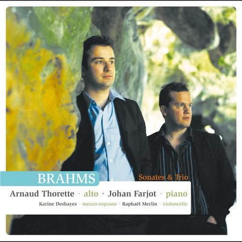 Album cover art for Brahms