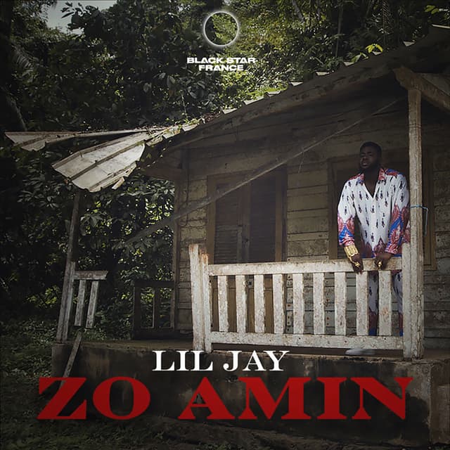 Album cover art for Zo Amin