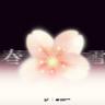 春雪 (Chun Xue)
