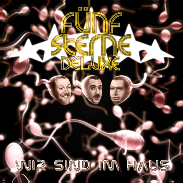 Album cover art for Wir sind im Haus