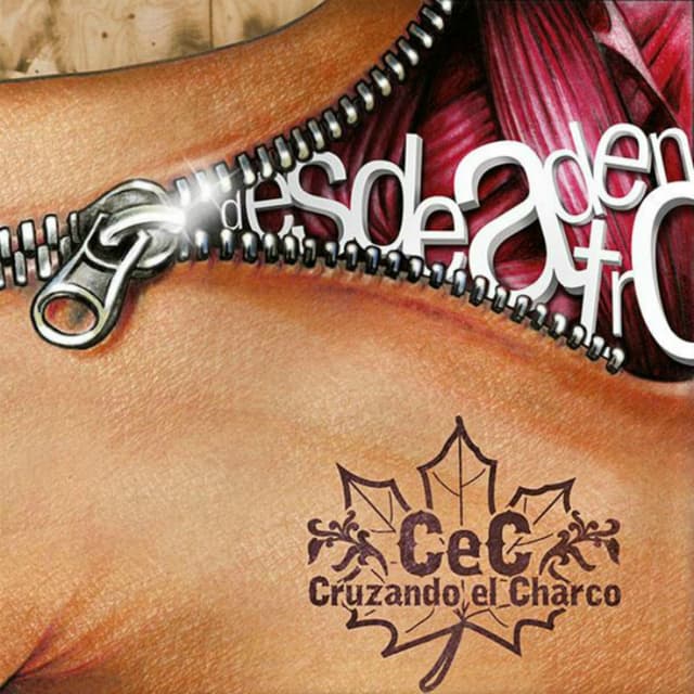 Album cover art for Desde Adentro