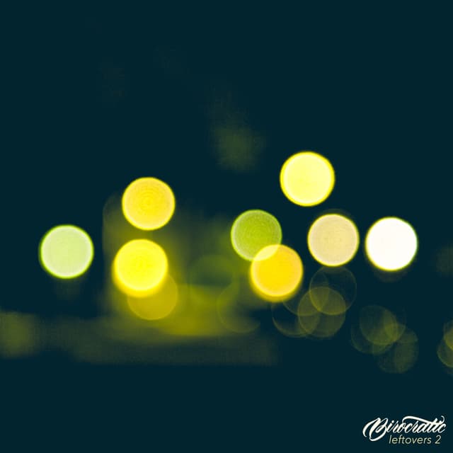 Album cover art for Leftovers 2