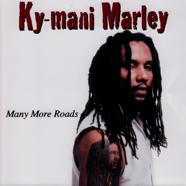 Album cover art for Many More Roads