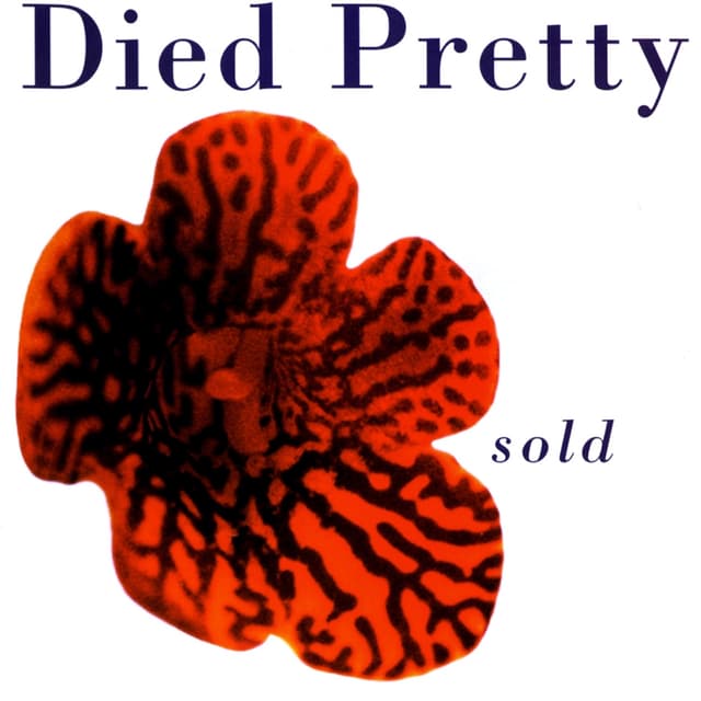 Album cover art for Sold