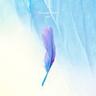 혼자 Nobody Knows (Nobody Knows)