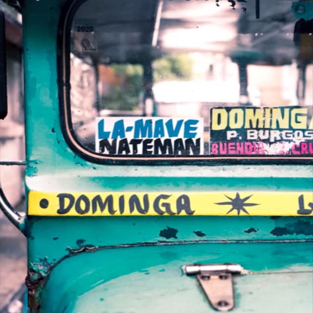 Album cover art for Dominga