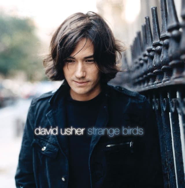 Album cover art for Strange Birds