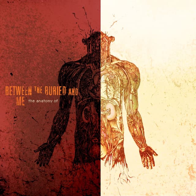 Album cover art for The Anatomy Of
