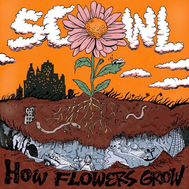 Album cover art for How Flowers Grow