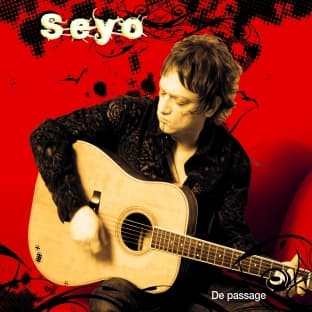 Album cover art for De Passage