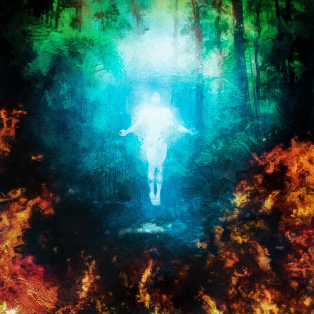Album cover art for GAIA