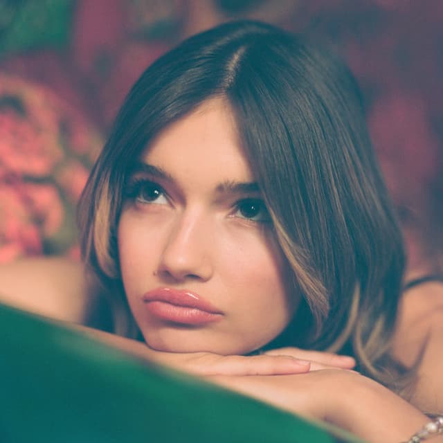 Album cover art for a teenage diary