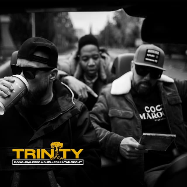 Album cover art for Trinity
