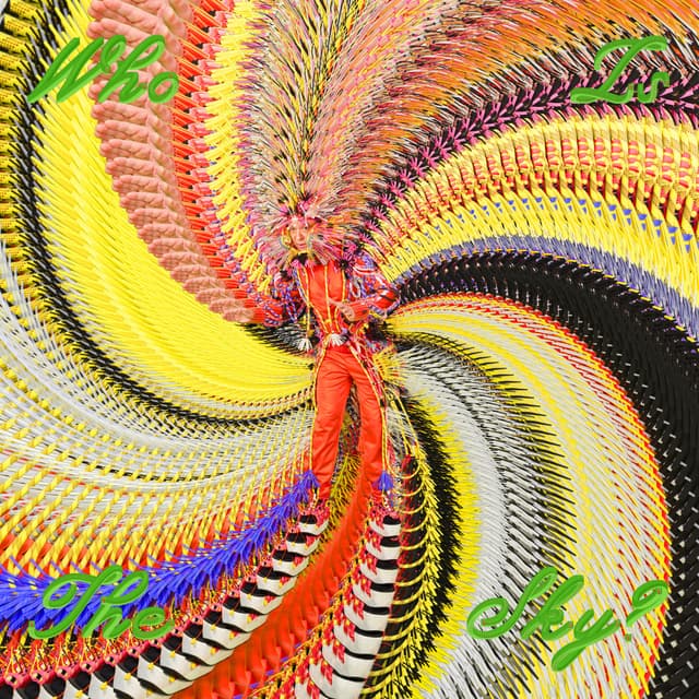 Album cover art for Who Is the Sky?