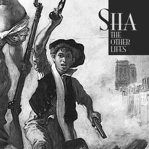 Album cover art for The Other Life