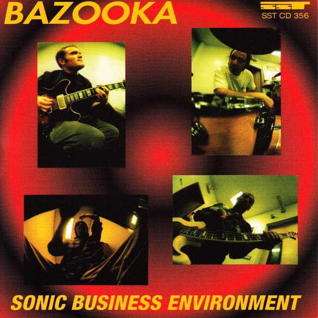 Album cover art for Sonic Business Environment