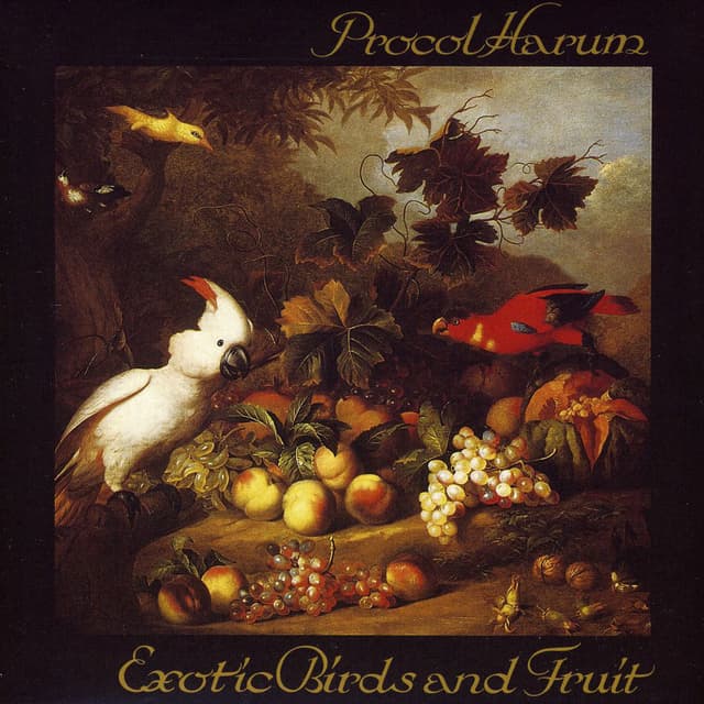 Album cover art for Exotic Birds and Fruit