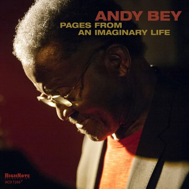 Album cover art for Pages from an Imaginary Life