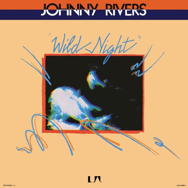 Album cover art for Wild Night