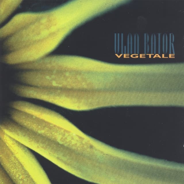 Album cover art for Végétale