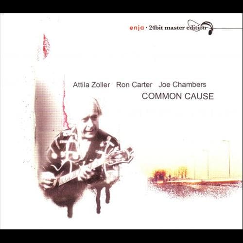 Album cover art for Common Cause