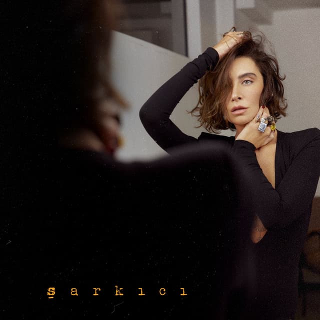 Album cover art for şarkıcı