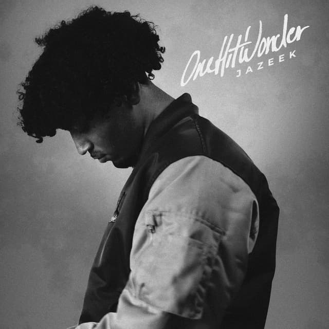 Album cover art for One Hit Wonder