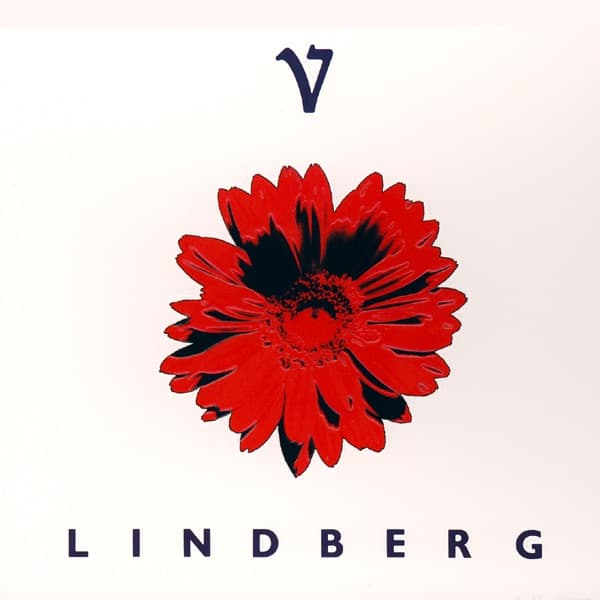 Album cover art for LINDBERG V