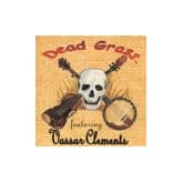 Album cover art for Dead Grass