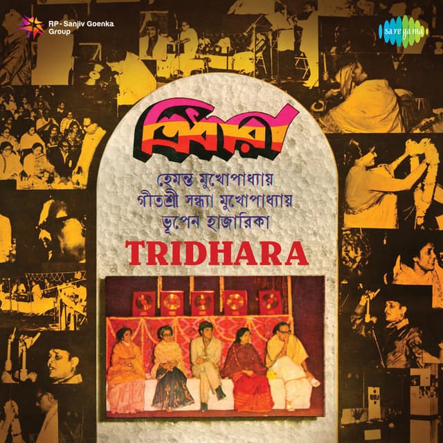 Album cover art for Tridhara