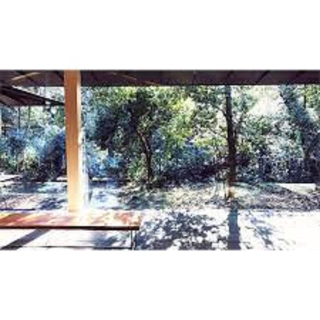 Album cover art for Rain