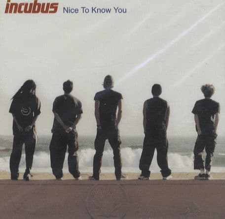 Album cover art for Nice To Know You