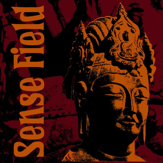 Album cover art for Sense Field